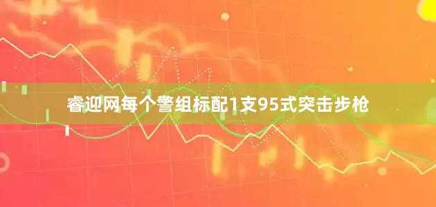 睿迎网每个警组标配1支95式突击步枪