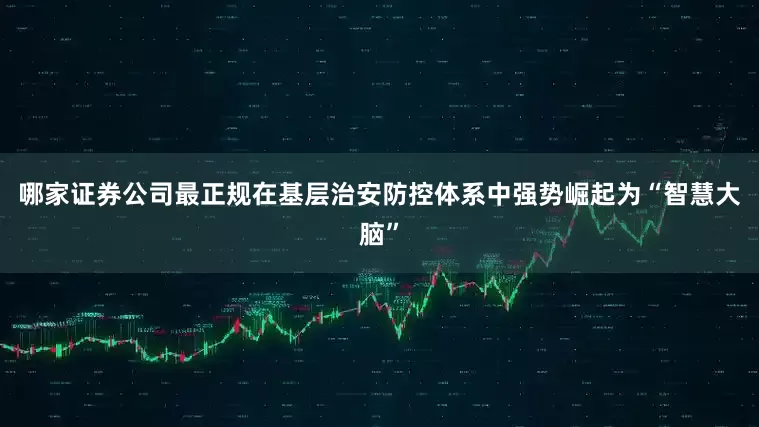 哪家证券公司最正规在基层治安防控体系中强势崛起为“智慧大脑”