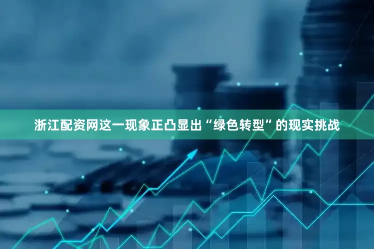 浙江配资网这一现象正凸显出“绿色转型”的现实挑战