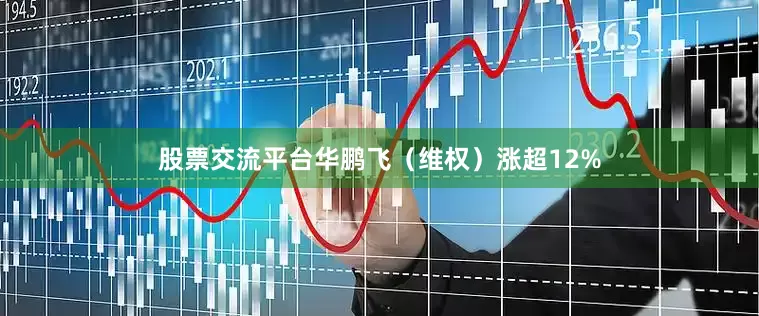 股票交流平台华鹏飞（维权）涨超12%