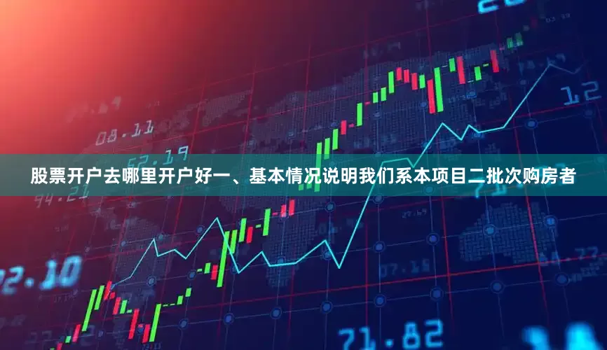 股票开户去哪里开户好一、基本情况说明我们系本项目二批次购房者