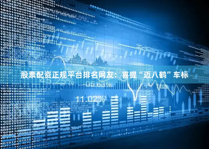 股票配资正规平台排名网友：喜提“迈八鹤”车标
