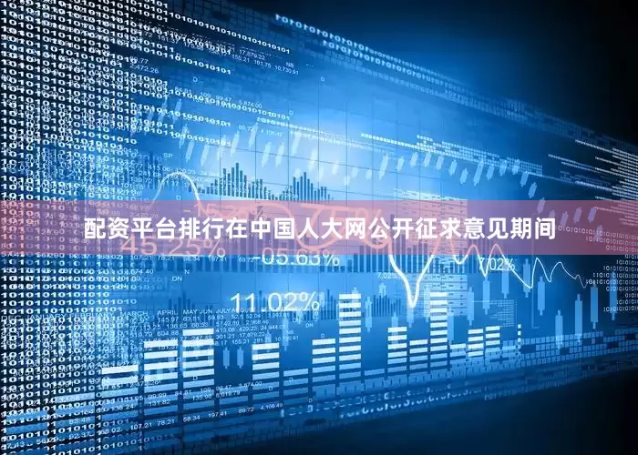 配资平台排行在中国人大网公开征求意见期间