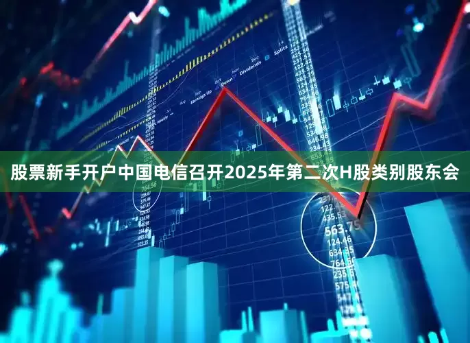 股票新手开户中国电信召开2025年第二次H股类别股东会