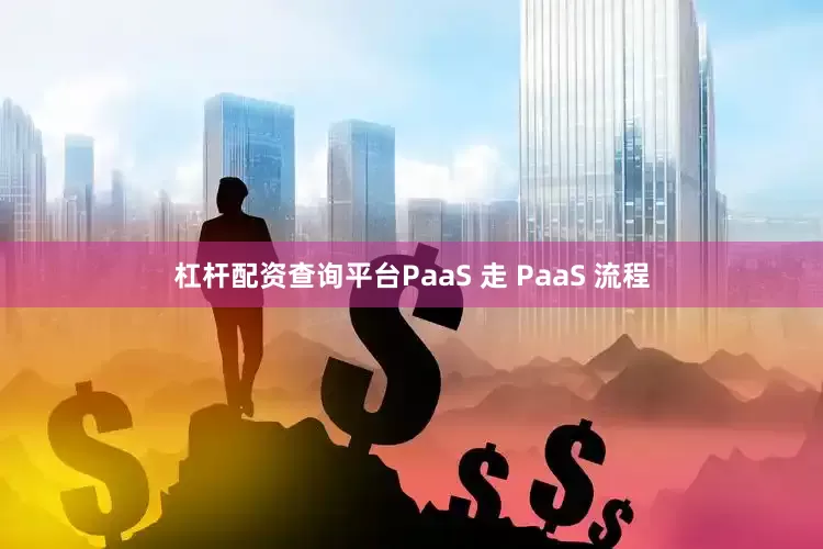 杠杆配资查询平台PaaS 走 PaaS 流程